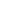 RV shield